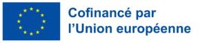 union européenne cofinancé elwave